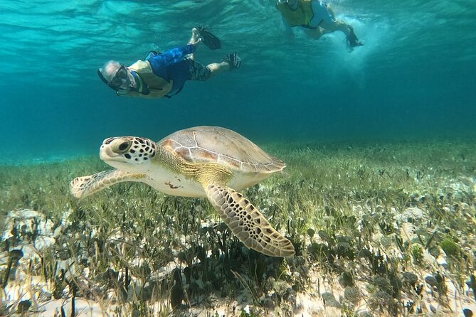Private Jeep Tour & ATV to Jade Cavern Cenote: All Inclusive - Skyreef Beach Club Snorkel: Shore Access, Private Guidance, Real Underwater Time