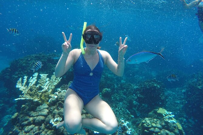Private Sky Snorkeling Tour - Why This Cozumel Private Snorkel Feels Different