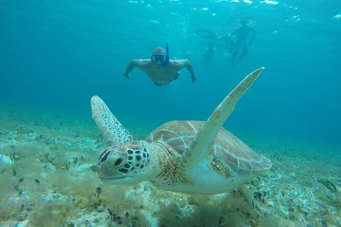 Private Sky Snorkeling Tour - Playa El Cielo: The Sandpit Party in the Sea