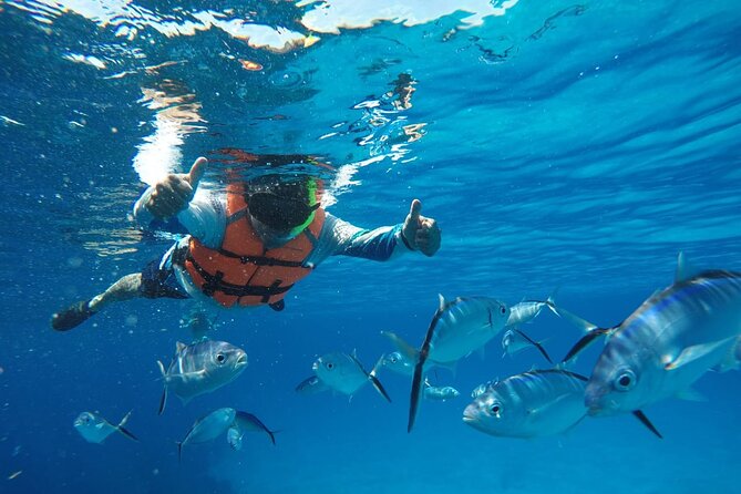 Private Sky Snorkeling Tour - Price and Value for a Group of Up to 8