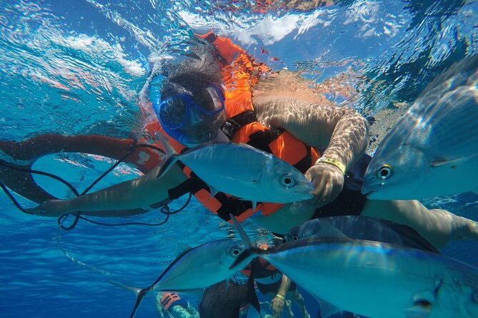 Private Sky Snorkeling Tour - Tips That Make the Day Go Smoothly