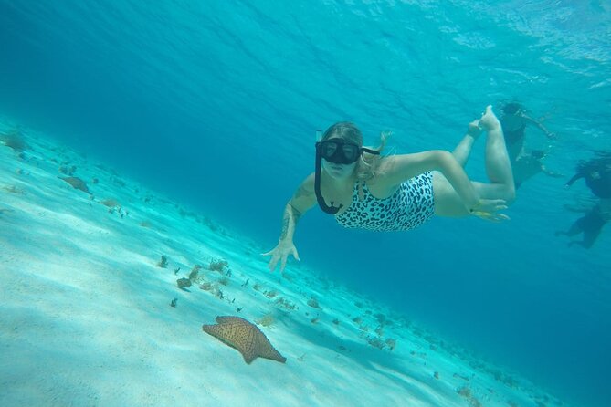 Private Sky Snorkeling Tour - Meeting in Caleta Antigua: Easy Start, One Real Catch