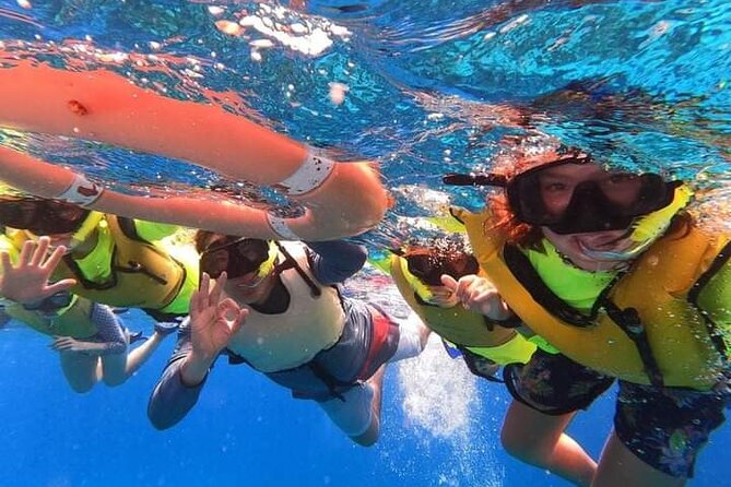 Private snorkeling tour to El Cielo - What’s included, and what you’ll need to plan around