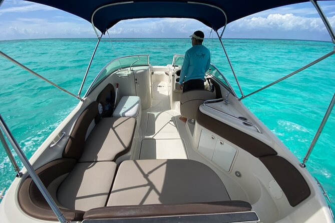 Private snorkeling with 23ft Sea Ray in San Miguel de Cozumel - Wildlife you might spot: the shark and turtle factor