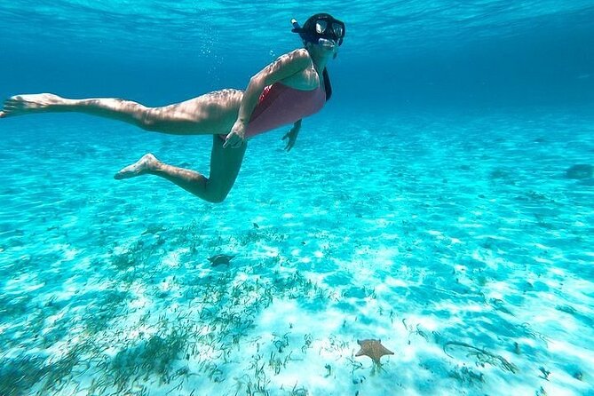 Private Tour in Cozumel El Cielo Sandbar and Reef Snorkeling - Beach picnic and drinks: what’s included and what to expect