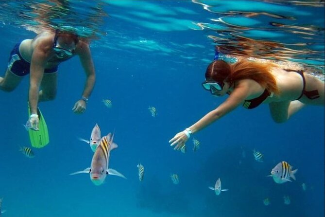 Private Tour of Cozumel in your own way Groups up to 6 People - Getting around smoothly: pickup, AC, and a driver who stays flexible