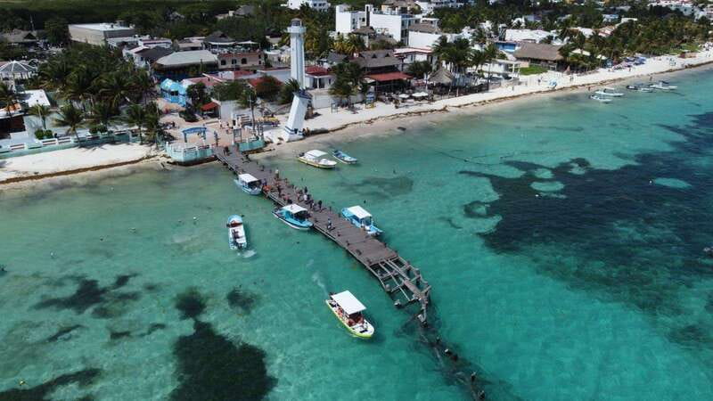 Puerto Morelos: Scuba Diving for Beginners - 2 Dives - Two Reef Sessions: What Aquarium Reef, Fish Market, and Mini-Wall Mean for You