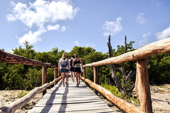 Punta Sur Eco Beach Park Electric Bike Tour in Cozumel - Entering The Punta Sur Reserve: Electric Bikes, Real Wildlife Energy