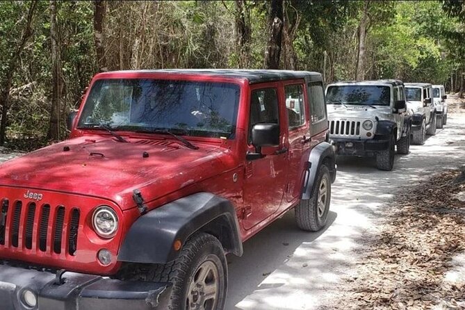 Rental Jeep Wrangler 4-Door Automatic 24h Cozumel Excursion - Pickup and Meeting Points: The Part That Can Make or Break Your Day