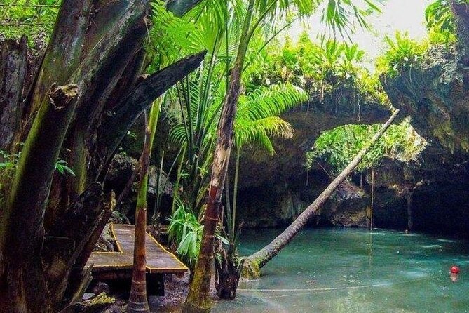 Rental Jeep Wrangler 4-Door Automatic 24h Cozumel Excursion - Best Fit: Who Should Book This Jeep Rental