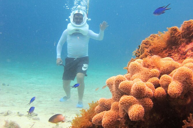 Sea Trek Adventure at Chankanaab National Park - Small Group Rules: Why Max 4 People Matters