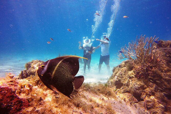 Sea Trek Adventure at Chankanaab National Park - Safety and Comfort: What to Consider Before Your Helmet Goes On