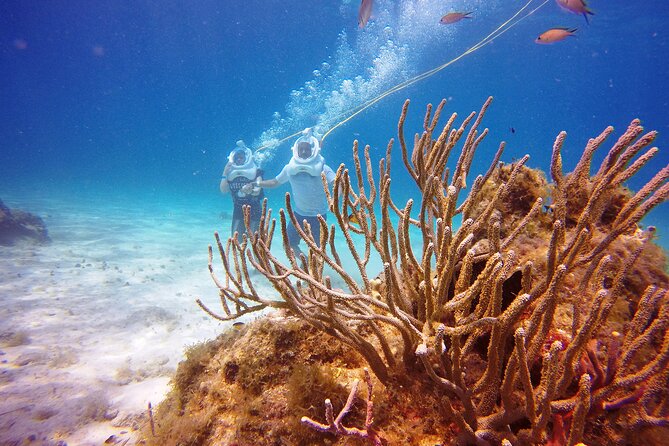 Sea Trek Adventure at Chankanaab National Park - Where You Meet and What to Do Before You Go In