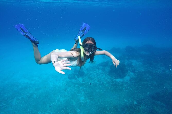 Shared Sky Snorkeling in Cozumel - Reef-hopping in Cozumel without the time sink
