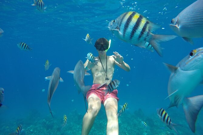 Shared Sky Snorkeling in Cozumel - Snorkeling equipment: what you should still bring
