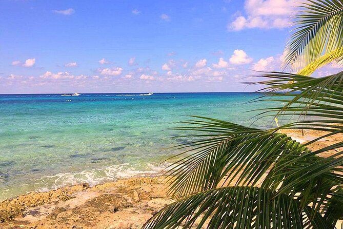 Snorkeling and Beach Club Access in Cozumel with Lunch - Price and value: what $20 really buys you in Cozumel