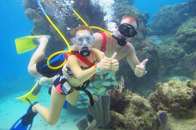 SNUBA Cozumel Underwater Adventure inside Chankanaab National Park - Beyond SNUBA: Make Chankanaab a Full Day, Not Just a 2-Hour Stop