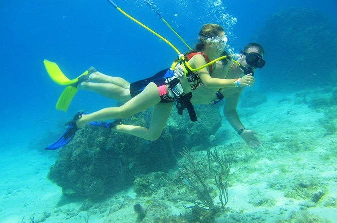 SNUBA Cozumel Underwater Adventure inside Chankanaab National Park - The Real-World Risks: Wind, Confusion, and Capacity Issues