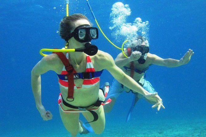 SNUBA Cozumel Underwater Adventure inside Chankanaab National Park - Price and Value: The $65 Ticket Plus the Park Entrance Fee