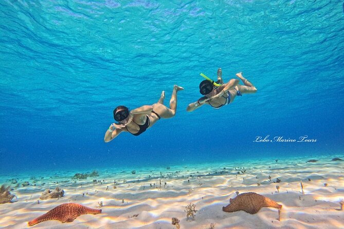 Star and Turtle Sanctuary Snorkeling Tour in Cozumel - The speedboat reality: bumpy rides, fast turns, and motion comfort