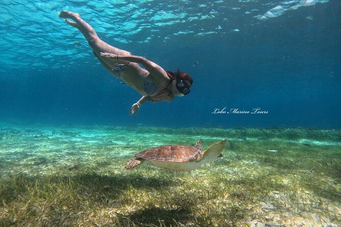 Star and Turtle Sanctuary Snorkeling Tour in Cozumel - Starfish sanctuary: the easy joy stop (and how not to ruin it)