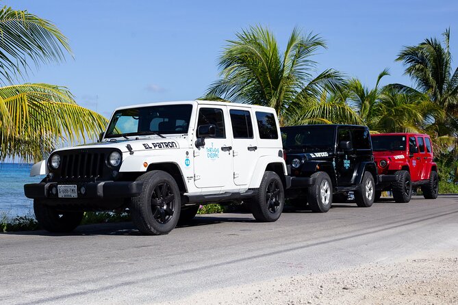 Super Cozumel Combo Snorkel by Boat and Jeep Exploration (Private) - The vibe: private Jeep + boat snorkel in one clean schedule