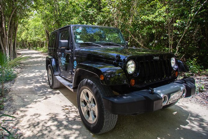 Super Cozumel Combo Snorkel by Boat and Jeep Exploration (Private) - Snorkeling near the reef: what you’ll see and what can limit your time