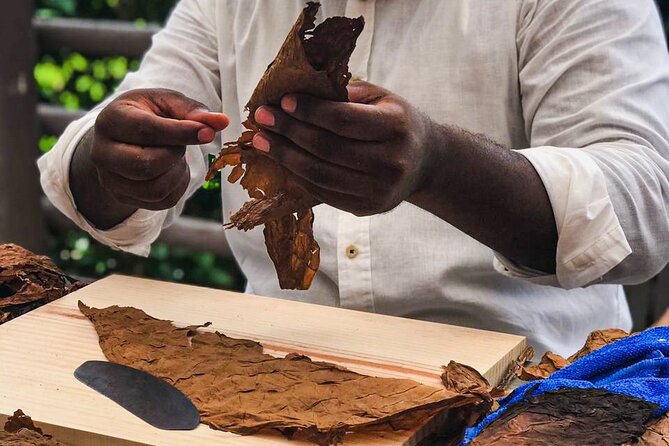 Taste of Mexico: Rolling Cigar & Tequila Experience with transfer - Downtown Cozumel shopping: narrow streets, quick browse, plan your priorities