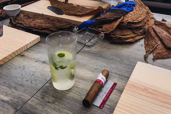 Taste of Mexico: Rolling Cigar & Tequila Experience with transfer - Timing, heat, and what to bring so the day stays enjoyable
