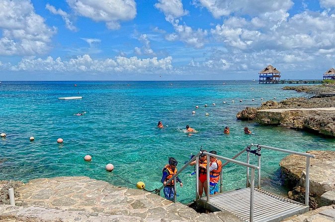 The Perfect Day in Chankanaab Park Cozumel - Chankanaab Reef: what to expect once you’re in the water