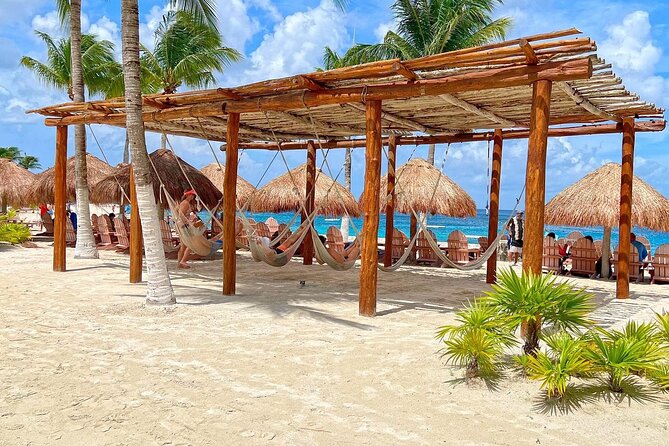 The Perfect Day in Chankanaab Park Cozumel - One-way transportation: the main logistics consideration