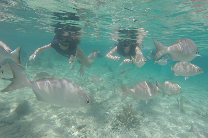 Tour in Buggy Cedral History Snorkeling and Lunch in Cozumel - Lunch at Skyreef: Mexican Dishes After You Swim