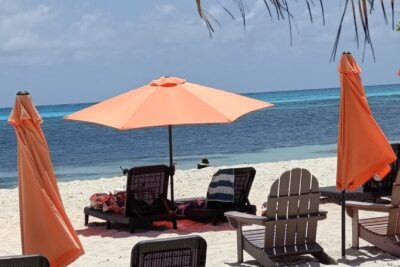 Tour to Cozumel Eco Nature Escape and Otoch Mayan Experience - Lunch at Punta Sur: Included and Easy to Appreciate