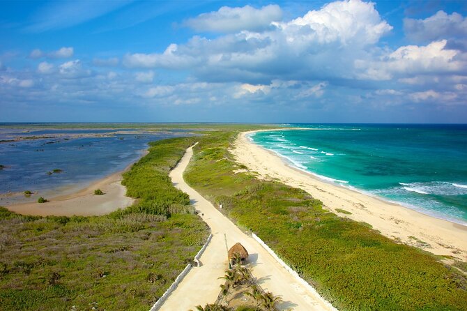 Tours along the beaches of Cozumel Mexico by buggy all inclusive - Key things to know before you go