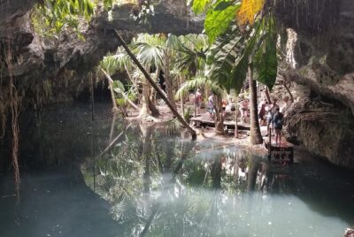 Tours On The Island Cozumel - Pickup That Works for Hotels and Cruise Ports