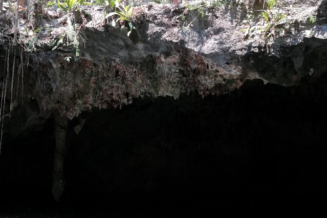 Tours On The Island Cozumel - Group Setup and Jeep Logistics: You Might Ride in More Than One Vehicle