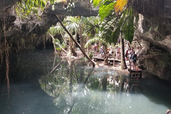 Tours On The Island Cozumel - Pickup That Works for Hotels and Cruise Ports