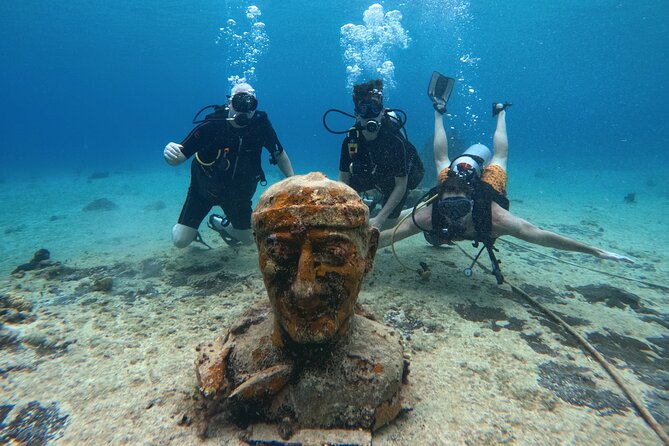 Try diving without previous experience from shore - Key points to know before you go