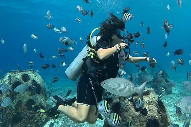 Try diving without previous experience from shore - Cozumel shore entry: the training that makes first time feel doable
