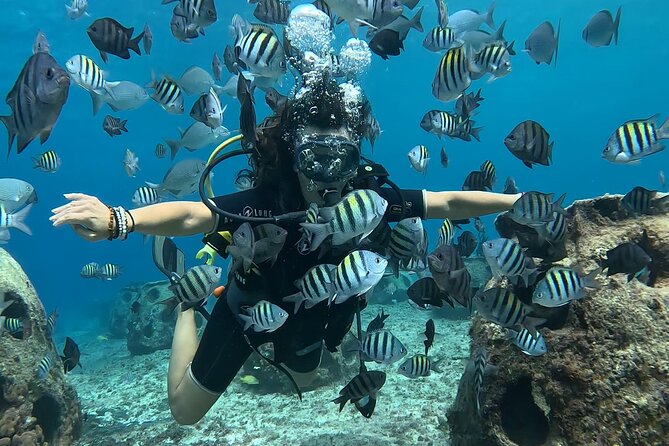 Try diving without previous experience from shore - Where you meet and how to plan your day