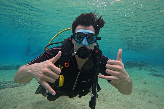Try diving without previous experience from shore - Coral reconstruction: where the sea life comes in